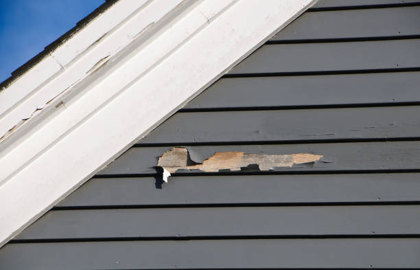 Siding Installation